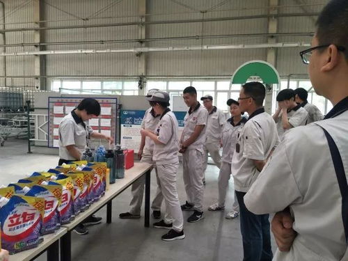 軟質(zhì)車間 粽香傳情系端午，匠心筑夢展風(fēng)采